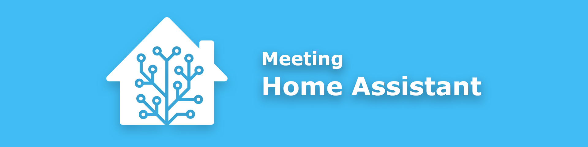 Meeting Home Assistant