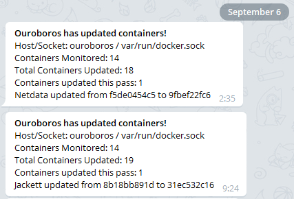 Telegram Notifications