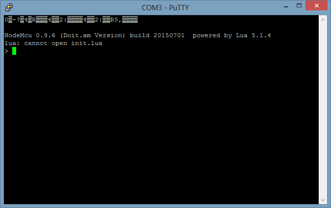 Putty Terminal