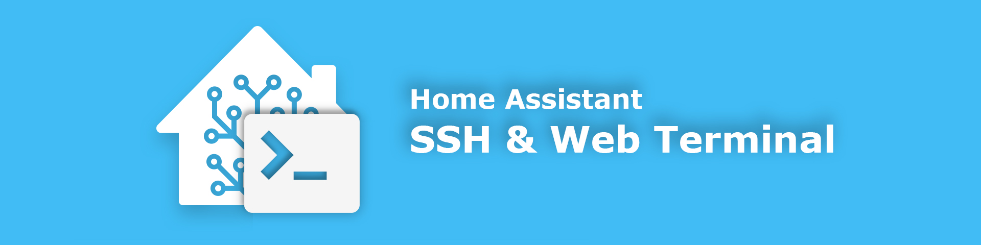 SSH y Terminal Web en Hass.io