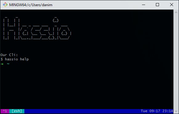 SSH Terminal